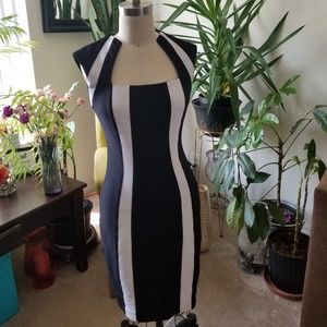 Cache Fitted Day Dress